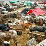Eid-ul-Azha likely to fall on May 27: SUPARCO