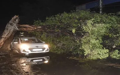 Deadly storm in Uttar Pradesh kills 90, toll feared to rise