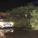 Deadly storm in Uttar Pradesh kills 90, toll feared to rise