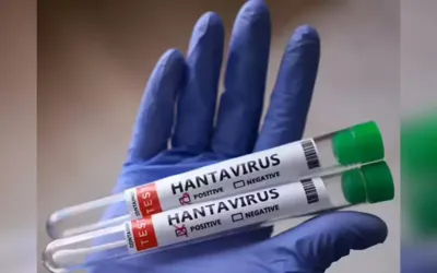 Eight passengers tested positive for hantavirus: WHO