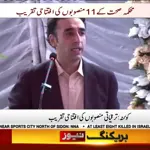 Free healthcare a basic right for all citizens: Bilawal Bhutto