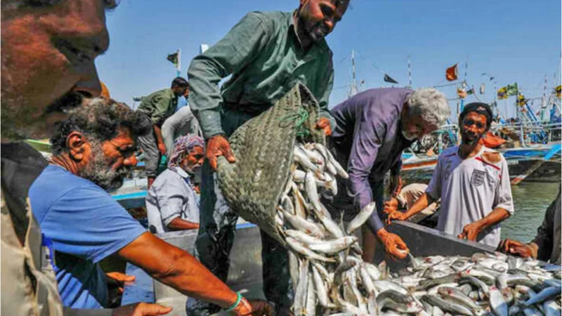 Pakistan sees boost in Seafood exports, Hits $465 Million