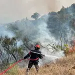 Algeria mourns as deadly wildfires kill 12 and injure 54