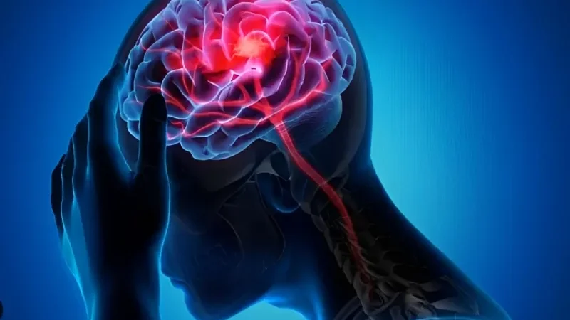 Scientists find brain switch that could help turn off chronic pain