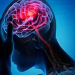 Scientists find brain switch that could help turn off chronic pain