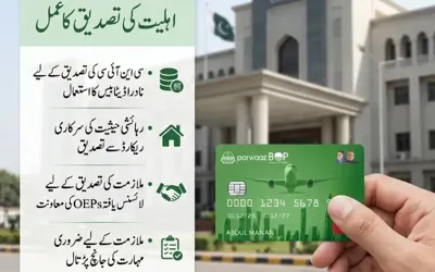 Punjab introduces Parwaaz Card portal to help youngsters find international jobs