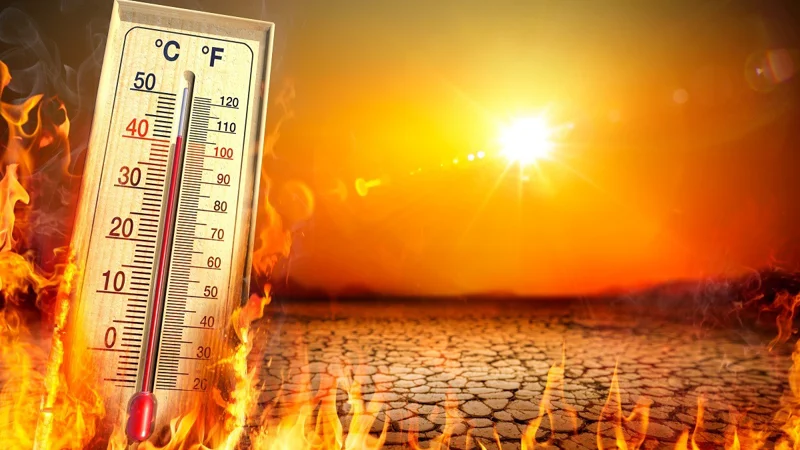 heat and humidity