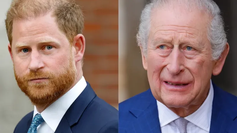 King Charles' true feelings revealed as Harry settles back into UK life - King Charles, Prince Harry