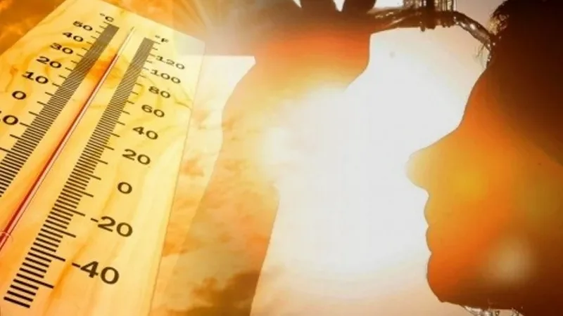 Heat and humidity