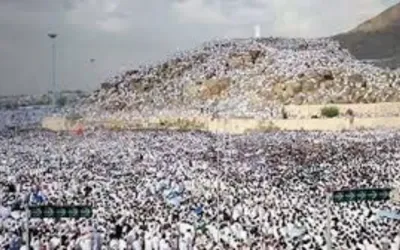 Labbaik Allahumma Labbaik: Arafat day observed as pilgrims worship