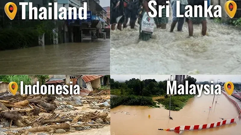 Flood