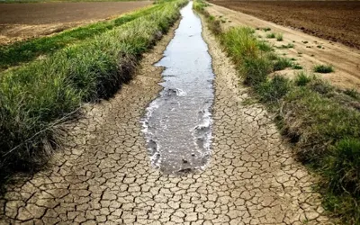 Balochistan faces agricultural crisis with arable land reduced to 7.2%