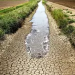 Balochistan faces agricultural crisis with arable land reduced to 7.2%