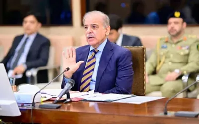 PM reviews progress on Pakistan–China business cooperation