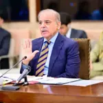 PM reviews progress on Pakistan–China business cooperation