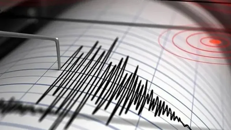 Earthquake tremors