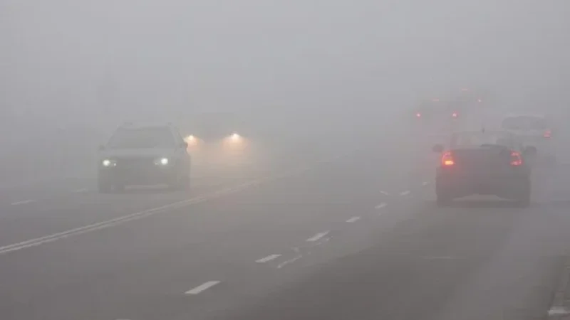Fog
