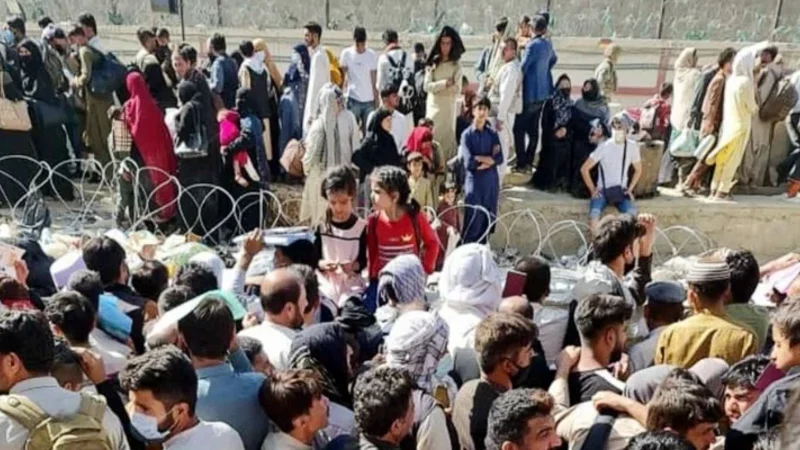 Afghans