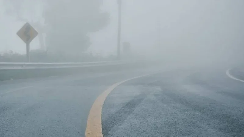 Fog