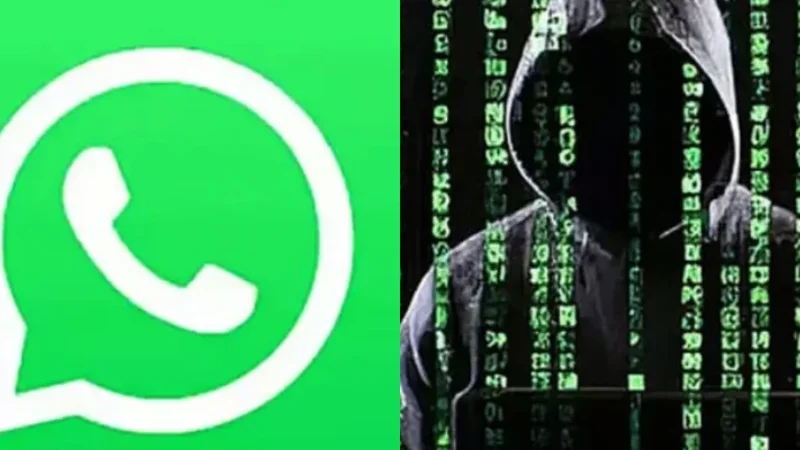 WhatsApp-Users