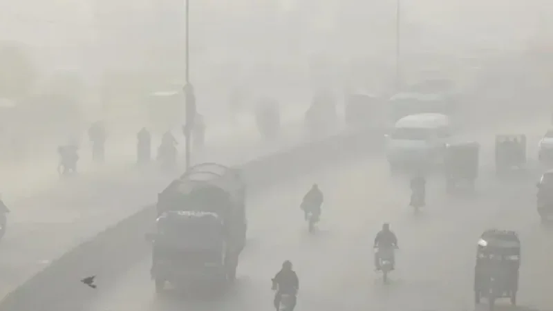 Cold, foggy mornings