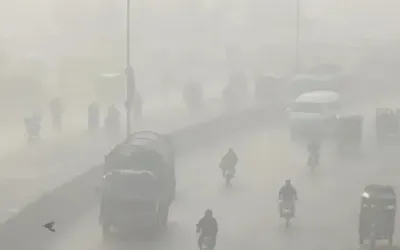 Cold, foggy mornings with mild days expected across the country