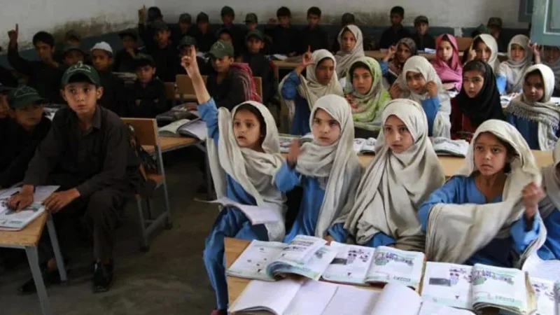 KP Govt announces