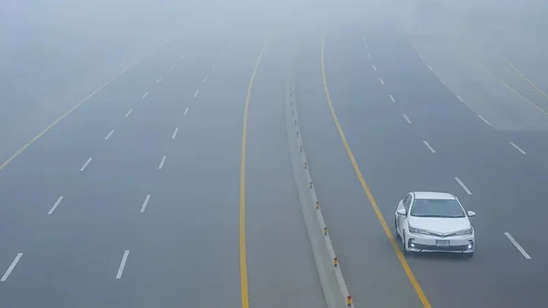 Dense fog forces