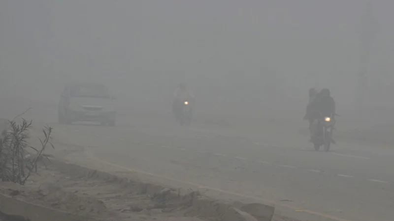 fog