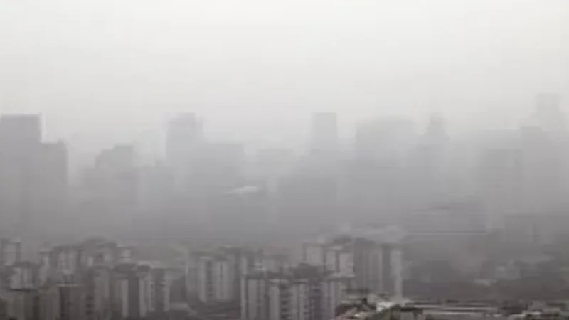 Foggy-morning