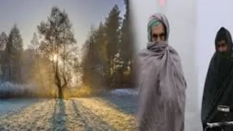 Cold and dry weather