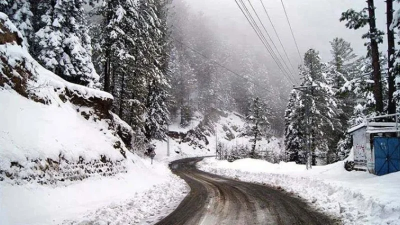 Murree