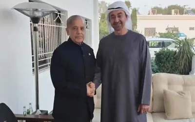PM Shehbaz, UAE President discuss regional and bilateral cooperation