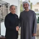 PM Shehbaz, UAE President discuss regional and bilateral cooperation