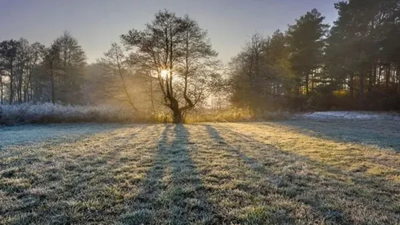 cold and dry weather