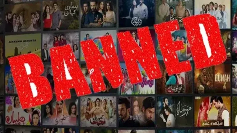 India-blocks -Pakistani-dramas on-Netflix