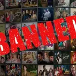 India blocks Pakistani dramas on Netflix amid rising global popularity