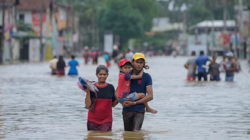 Flood (2)