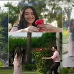 Falak Shabir’s sweet surprise for Sarah Khan melts hearts