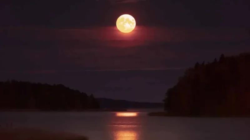 'Supermoon to light up the sky on October 7'