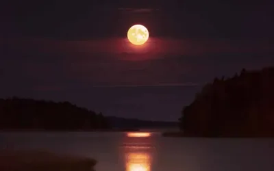 'Supermoon to light up the sky on October 7'