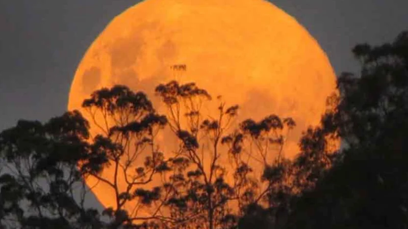 Year’s first supermoon to light up skies tonight