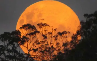 Year’s first supermoon to light up skies tonight