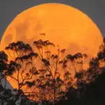 Year’s first supermoon to light up skies tonight