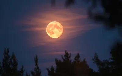 First Supermoon of 2025 Lights Up Skies Across Pakistan