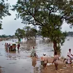 23 dead as riverine floods devastate Pakistan; Punjab worst hit