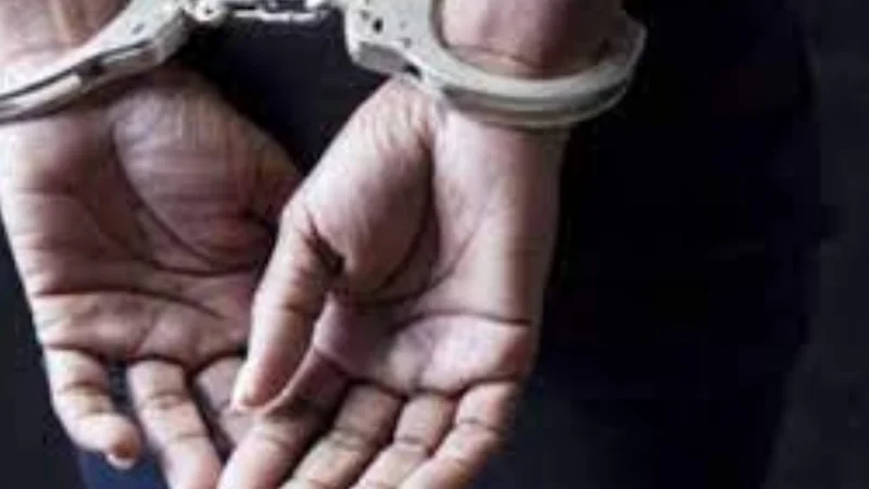 Indian nationals commit highest sexual offences in UK