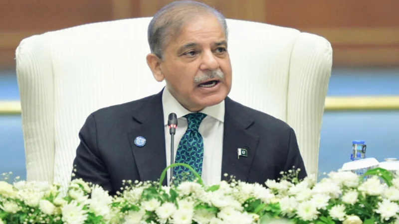 PM Shehbaz stresses peace and cooperation at SCO summit