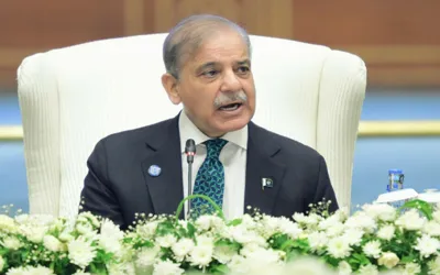 PM Shehbaz stresses peace and cooperation at SCO summit