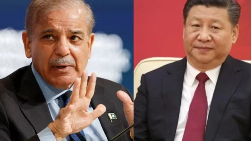 Pakistan, China vow closer cooperation amid regional, global challenges
